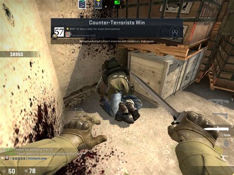 csgo rule34